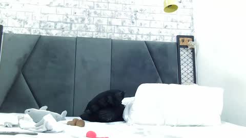 mila_adamss online show from 01/16/25, 05:01