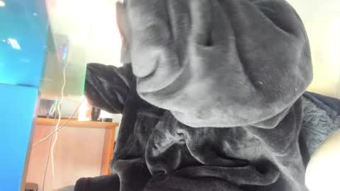 Mila Dash online show from 09/24/25, 10:51