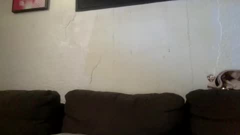 Snapshot of milfsfreaky69 chatting on 05/24/26, 03:17 BabygirlsFreaky online show from 05/24/26, 03:17