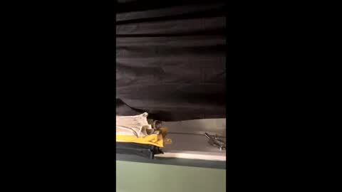 milfyymassa online show from 10/18/25, 07:36