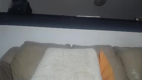 C online show from 02/03/25, 07:40