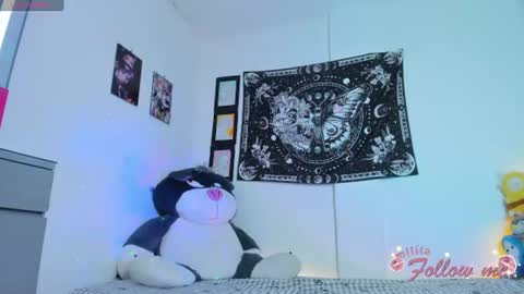        online show from 07/18/26, 09:24