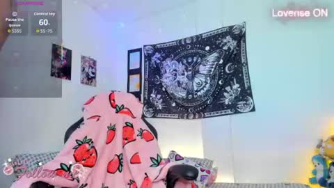        online show from 07/28/26, 09:04