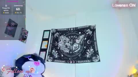        online show from 07/29/26, 09:07