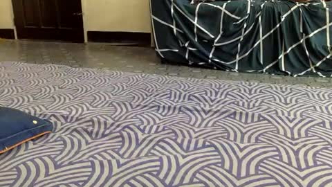 mireill_sex online show from 06/07/26, 03:05