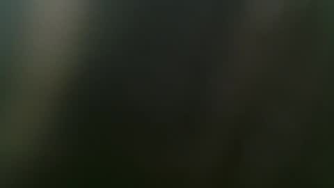 Snapshot of mishakiss34 chatting on 02/15/25, 03:50 Misha online show from 02/15/25, 03:50