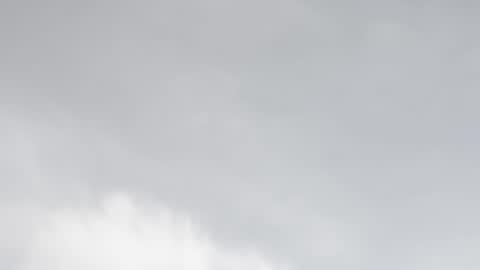 Snapshot of miss_divora chatting on 02/05/26, 07:51 miss_divora online show from 02/05/26, 07:51