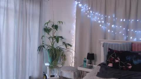 Snapshot of miss_eva_xxx chatting on 12/23/24, 03:29 Miss EVA Email misseva123xxx online show from 12/23/24, 03:29