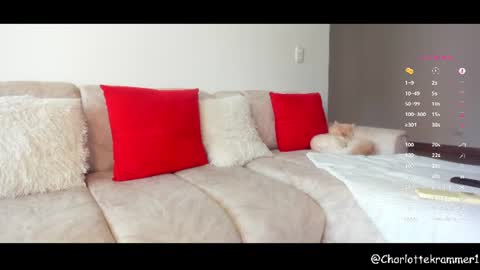 Charlotte independent model online show from 07/17/26, 08:14