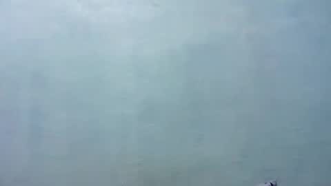 Merry online show from 11/08/25, 08:14