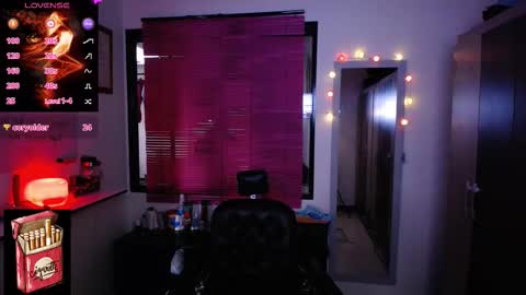 Snapshot of misslana_wn chatting on 11/17/25, 10:04 LanaLul online show from 11/17/25, 10:04