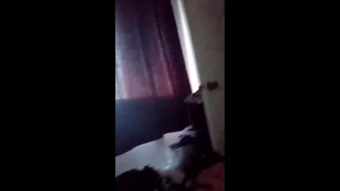 mistersins69 online show from 02/03/26, 03:17