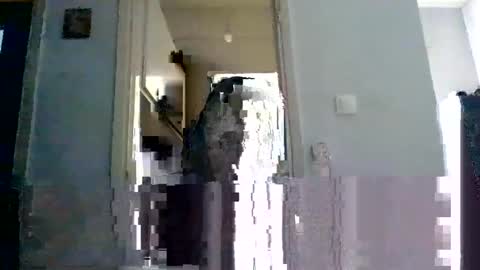 mmpempis81 online show from 02/22/25, 07:12