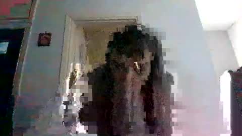 mmpempis81 online show from 02/25/25, 06:47