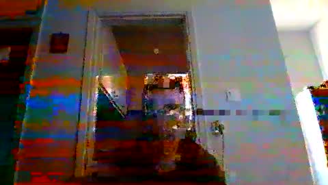 mmpempis81 online show from 03/09/25, 04:11