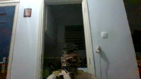 mmpempis81 online show from 09/28/25, 07:08