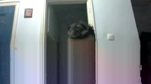 mmpempis81 online show from 09/29/25, 07:19