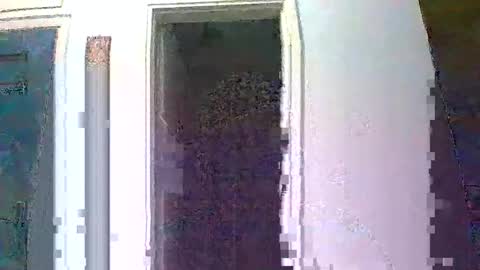 mmpempis81 online show from 10/01/25, 05:30