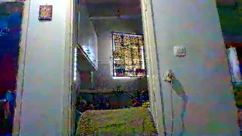 mmpempis81 online show from 10/24/25, 05:04