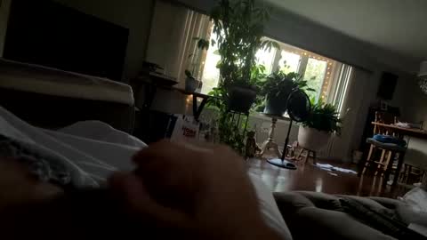 Snapshot of moethecheater7 chatting on 10/02/25, 10:28 moethecheater7 online show from 10/02/25, 10:28