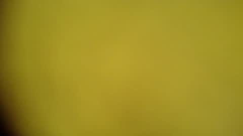 mohamedasif123 online show from 01/29/25, 06:22