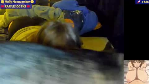 Snapshot of molly_moons chatting on 11/17/25, 07:03 molly_moons online show from 11/17/25, 07:03