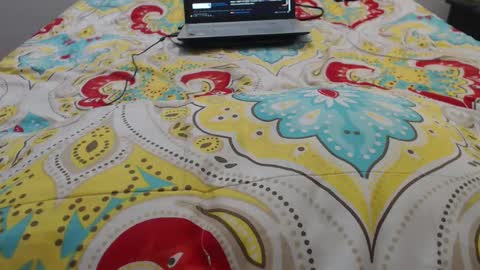 Molly And Brad online show from 09/20/25, 09:27