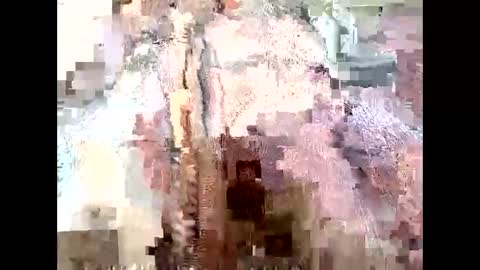 Richard Sheridan online show from 09/28/25, 09:53