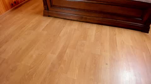Monika NO c2c ever. PVT free Naked Fingering pussy doggy or standing BJ HJ Feet Fashion. PVT extra Toy control 400tk. online show from 01/23/25, 07:29