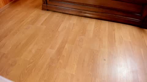 Monika NO c2c ever. PVT free Naked Fingering pussy doggy or standing BJ HJ Feet Fashion. PVT extra Toy control 400tk. online show from 01/25/25, 07:39