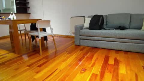 Monikfree online show from 12/05/24, 04:23