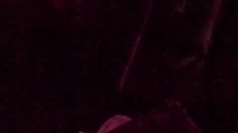 montydxxx2 online show from 09/14/25, 03:05