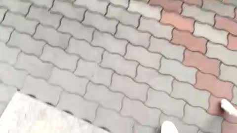 Snapshot of moos1 chatting on 09/12/25, 12:16 moos1 online show from 09/12/25, 12:16