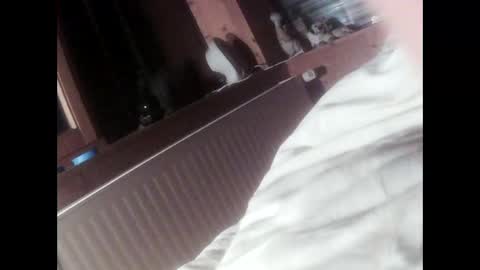 Snapshot of moos1 chatting on 09/16/25, 06:42 moos1 online show from 09/16/25, 06:42