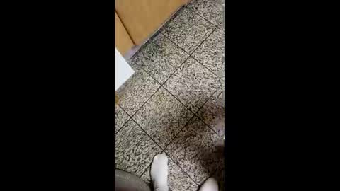 Snapshot of moos1 chatting on 10/04/25, 04:10 moos1 online show from 10/04/25, 04:10