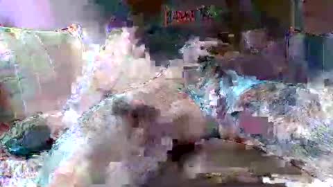 Snapshot of morboso2563 chatting on 11/21/25, 10:30 morboso2563 online show from 11/21/25, 10:30