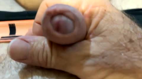 Snapshot of moreletii chatting on 10/24/25, 08:49 Me online show from 10/24/25, 08:49