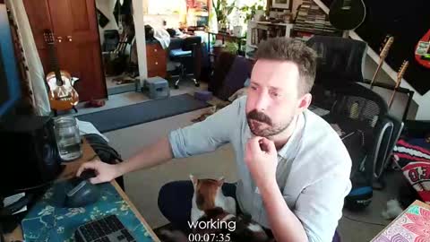 ninko online show from 01/30/25, 08:21