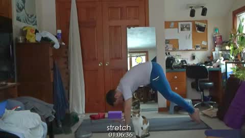 ninko online show from 01/31/25, 05:42