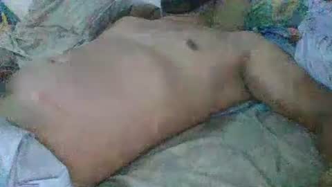 Snapshot of mrdongato01 chatting on 12/31/24, 08:23 Gato online show from 12/31/24, 08:23