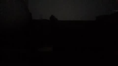 Snapshot of mrhandsomelovee chatting on 10/15/25, 12:44 Nikola online show from 10/15/25, 12:44