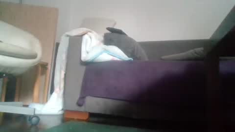 Snapshot of mrhandsomelovee chatting on 10/18/25, 09:54 Nikola online show from 10/18/25, 09:54