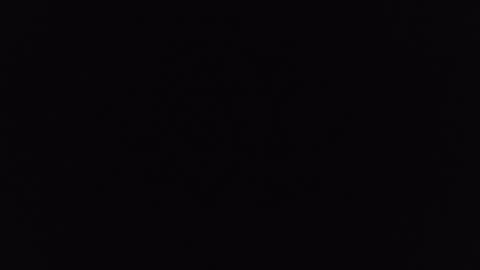 mrj1979 online show from 12/06/24, 01:22