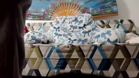 ms2wet4u1000 online show from 11/05/25, 12:16