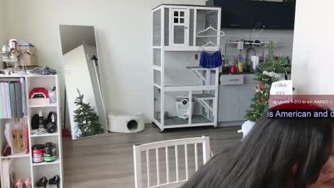 Snapshot of ms_mochii chatting on 11/01/25, 06:21 R o r i SnapChat heyroriv2 wednesday - sunday Noon oclock mountain - 5pm mountain online show from 11/01/25, 06:21