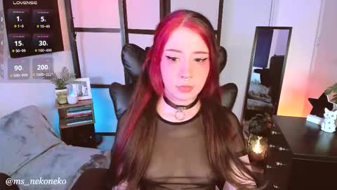 Snapshot of ms_nekoneko chatting on 11/23/25, 10:09 schedule monday tuesday wednesday thursday - sunday online show from 11/23/25, 10:09