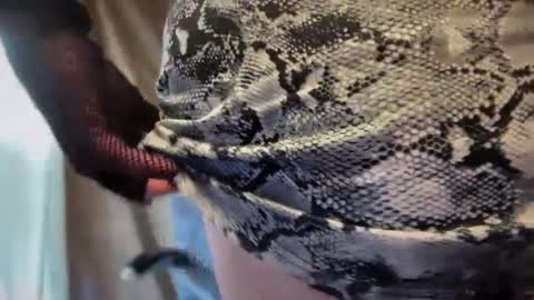 mskarentoy online show from 10/06/25, 07:55