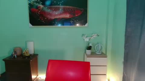 msmeygan online show from 12/10/24, 11:43