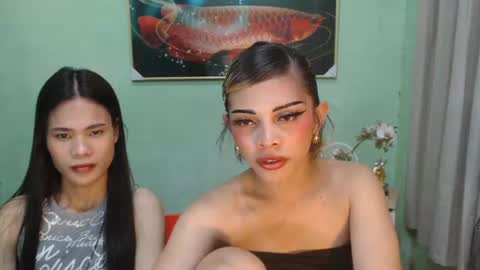 msmeygan online show from 06/12/26, 01:32