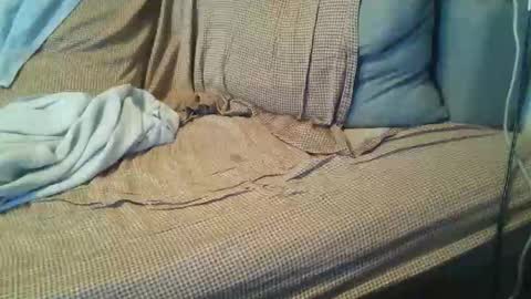 mteacher4fun online show from 05/23/26, 03:16